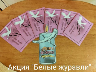 районная патриотическая акция «День белых журавлей» - фото - 20